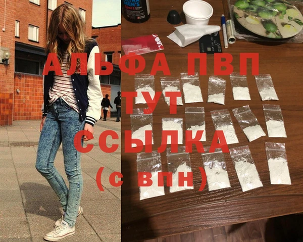 соль ск Ветлуга