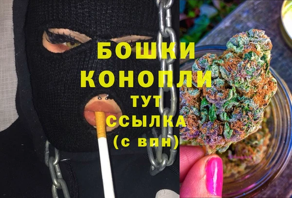 соль ск Ветлуга