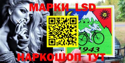 шишки Бийск