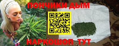 шишки Бийск