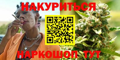 шишки Бийск
