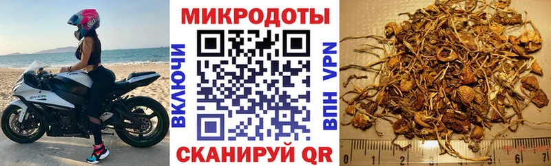 Псилоцибиновые грибы Psilocybe  MEGA   Губаха  где купить наркоту 