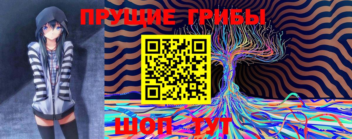 Псилоцибиновые грибы ЛСД Губаха