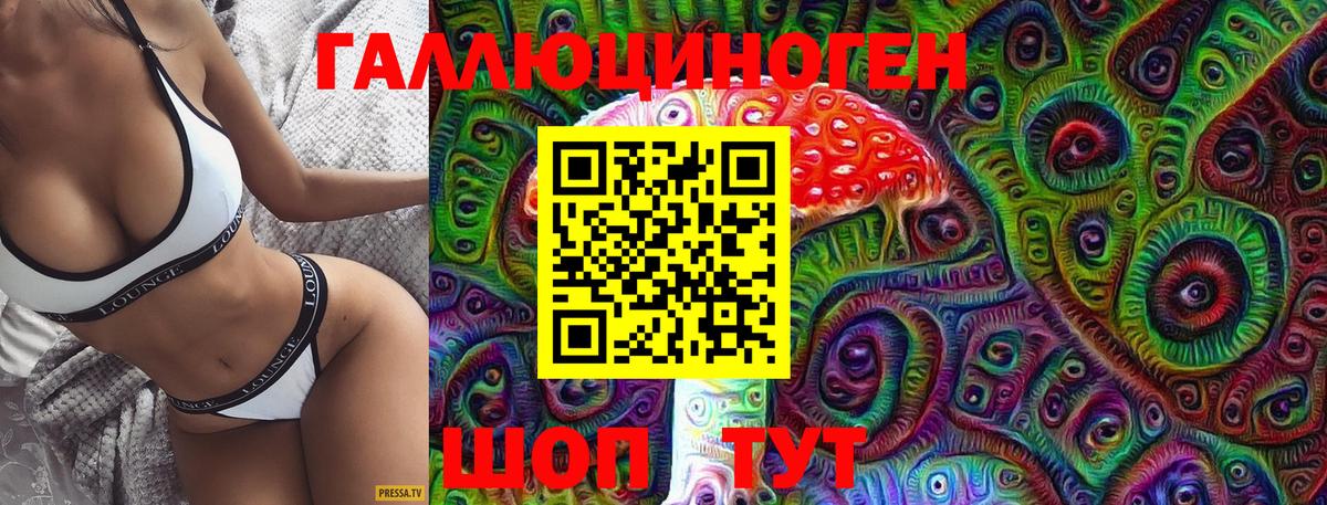 Губаха  Галлюциногенные грибы Cubensis  Вход с VPN 