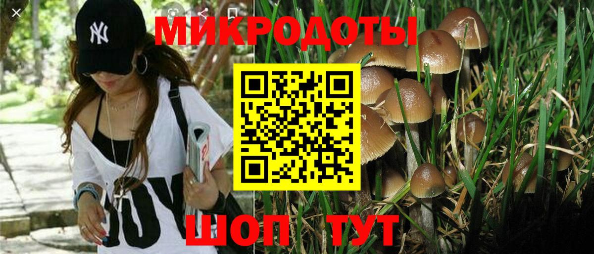 Галлюциногенные грибы MAGIC MUSHROOMS Губаха